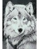 Grey Wolf WD086