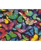 Разноцветные Бабочки WD057