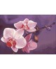 Ветвь Орхидеи WD038