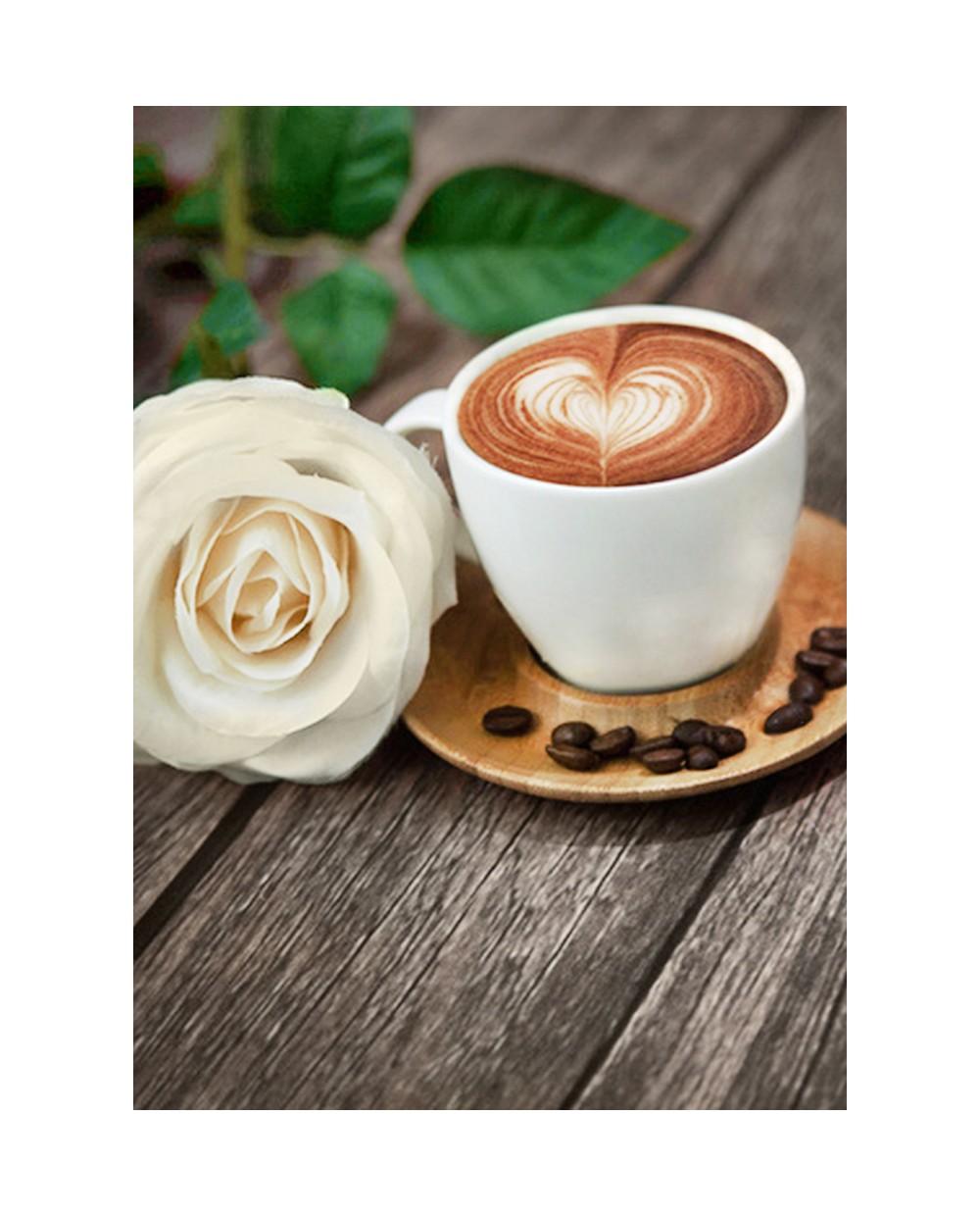 Роза кофе латте