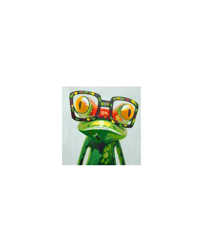 WD2373 Colourful Frog