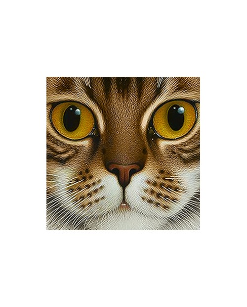 WD2377 Copper-Eyed Cat
