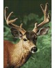 WD2378 Forest Deer
