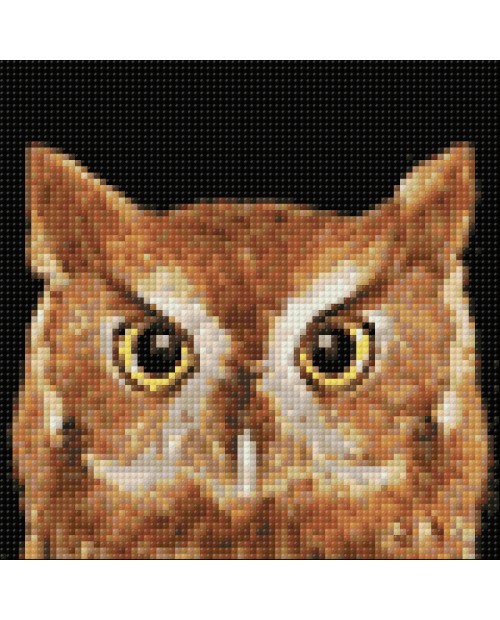 WD2379 Wise Owl