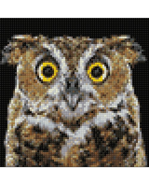 Curious Owl WD2380