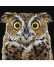 WD2380 Curious Owl