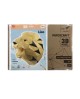 Wizardi 3D Papercraft Kit Lion Yellow PP-1LVN-SO