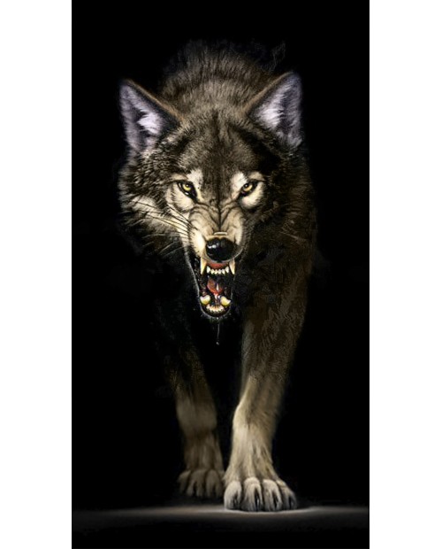Stalking Wolf WD2410