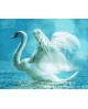 H002 White Swan