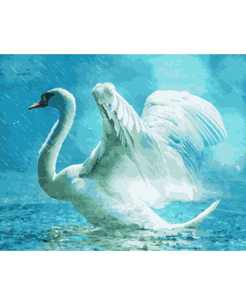 H002 White Swan