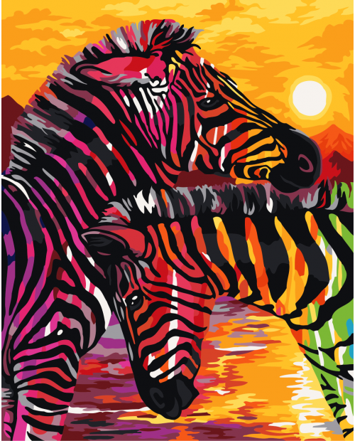 H069 Colourful Zebras