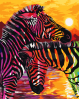 H068 Colourful Zebras