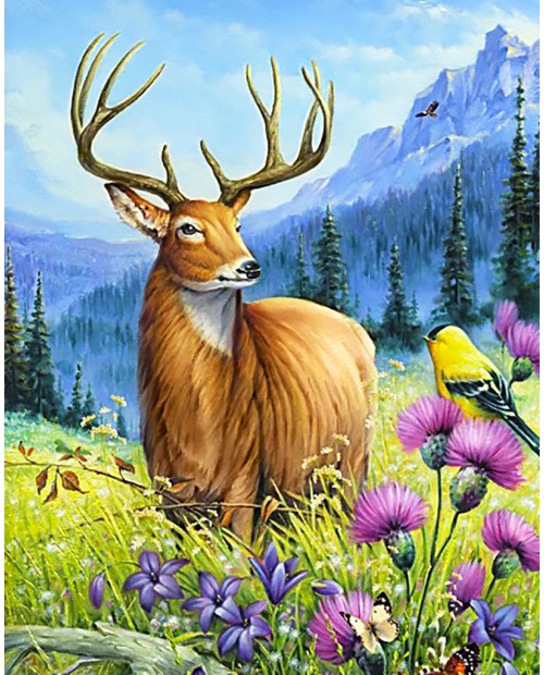 Noble Deer WD2496
