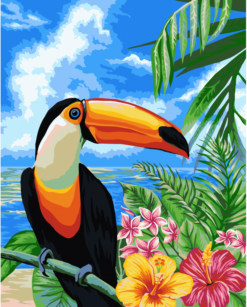 H080 Toucan