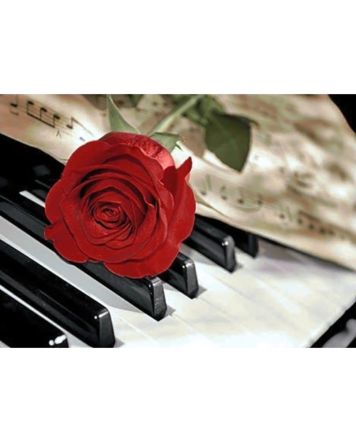 Rose Music WD053